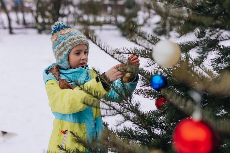 Lumières, marchés et traditions : Sherbrooke lance la saison des Fêtes